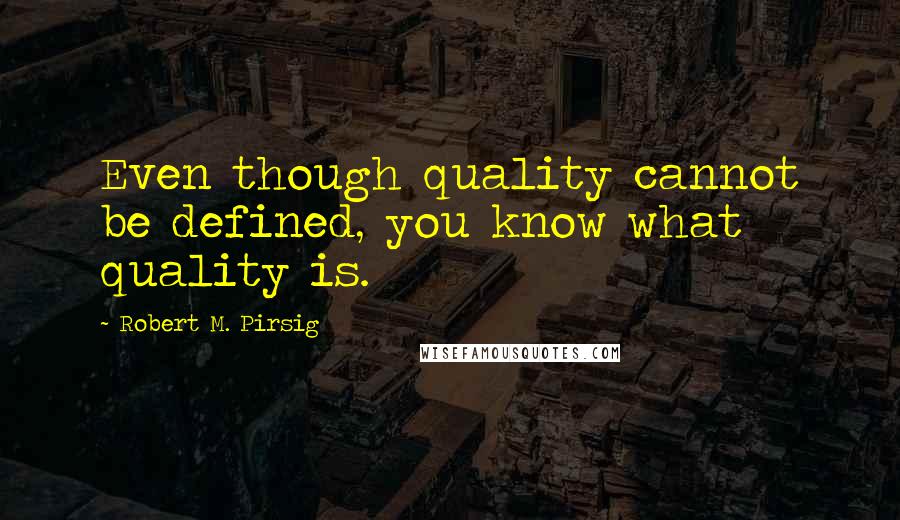 Robert M. Pirsig Quotes: Even though quality cannot be defined, you know what quality is.