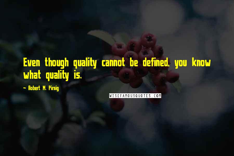 Robert M. Pirsig Quotes: Even though quality cannot be defined, you know what quality is.