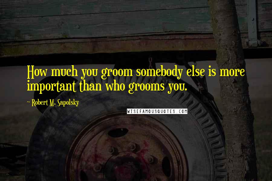 Robert M. Sapolsky Quotes: How much you groom somebody else is more important than who grooms you.