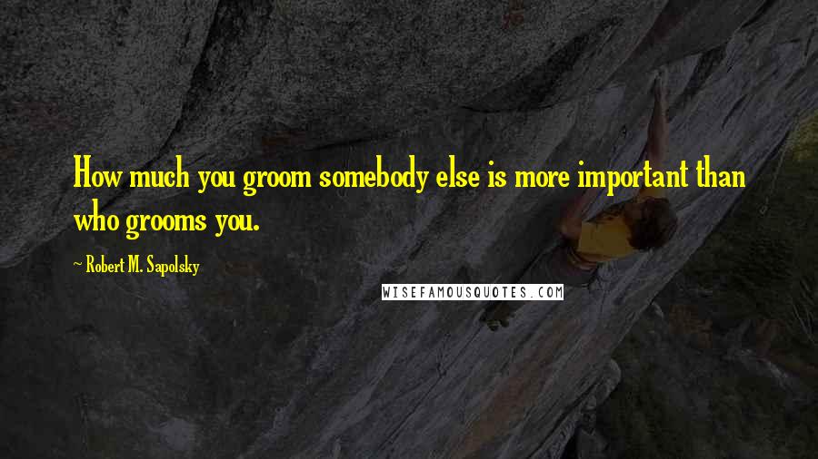 Robert M. Sapolsky Quotes: How much you groom somebody else is more important than who grooms you.