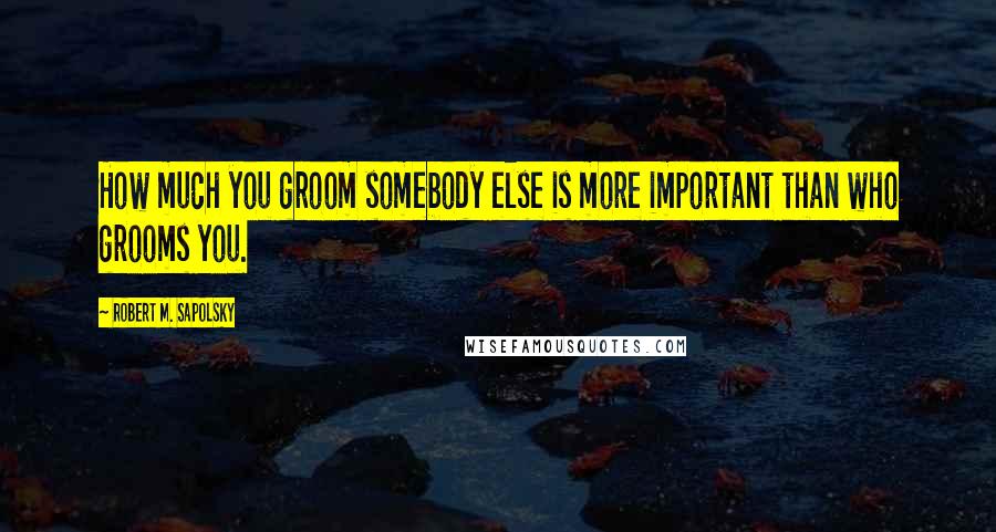 Robert M. Sapolsky Quotes: How much you groom somebody else is more important than who grooms you.