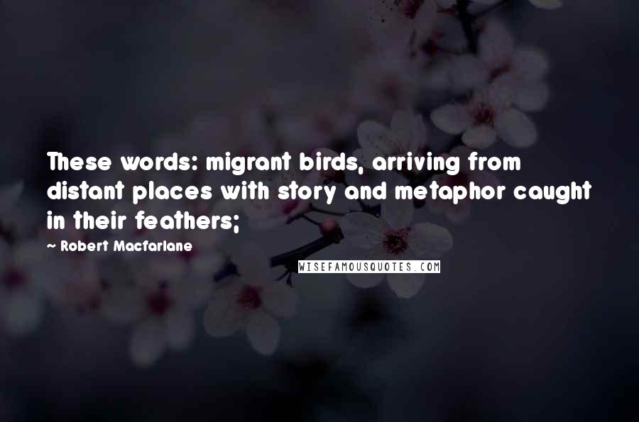 Robert Macfarlane Quotes: These words: migrant birds, arriving from distant places with story and metaphor caught in their feathers;