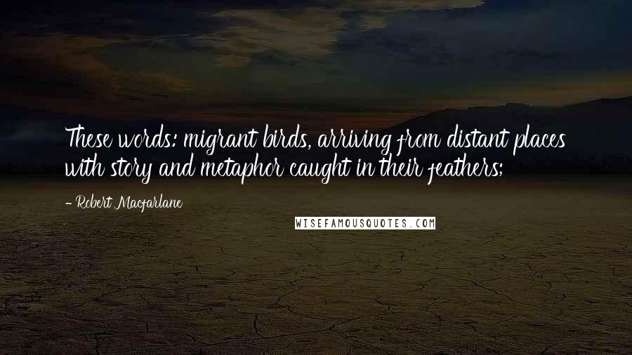 Robert Macfarlane Quotes: These words: migrant birds, arriving from distant places with story and metaphor caught in their feathers;