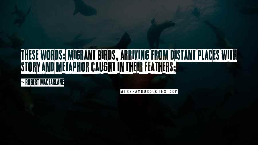 Robert Macfarlane Quotes: These words: migrant birds, arriving from distant places with story and metaphor caught in their feathers;