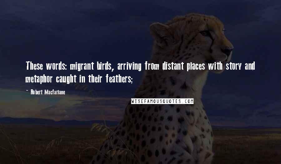 Robert Macfarlane Quotes: These words: migrant birds, arriving from distant places with story and metaphor caught in their feathers;