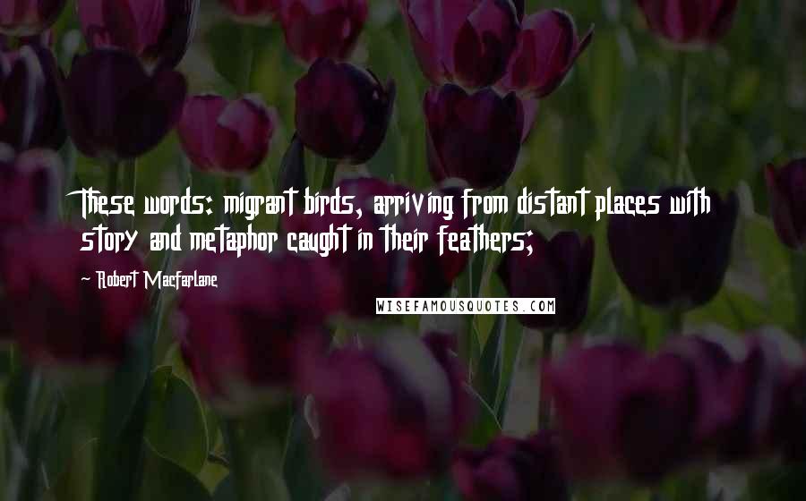 Robert Macfarlane Quotes: These words: migrant birds, arriving from distant places with story and metaphor caught in their feathers;