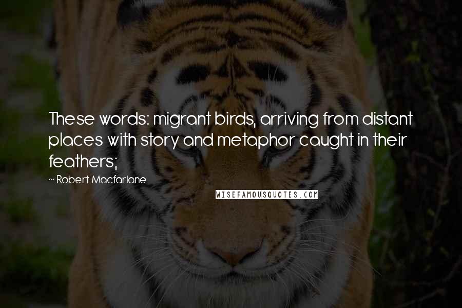 Robert Macfarlane Quotes: These words: migrant birds, arriving from distant places with story and metaphor caught in their feathers;