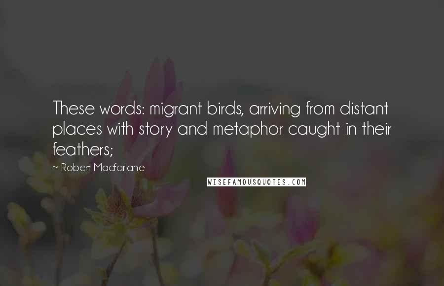 Robert Macfarlane Quotes: These words: migrant birds, arriving from distant places with story and metaphor caught in their feathers;