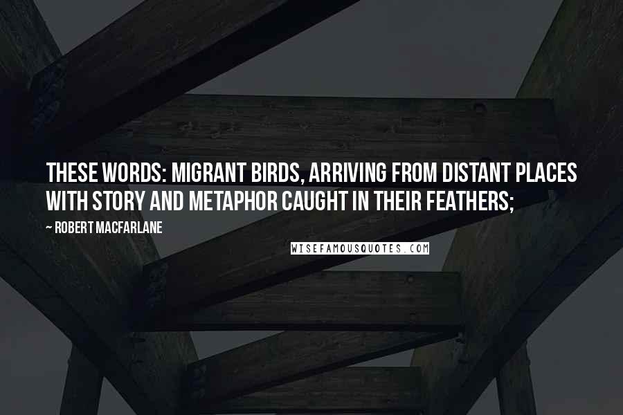 Robert Macfarlane Quotes: These words: migrant birds, arriving from distant places with story and metaphor caught in their feathers;