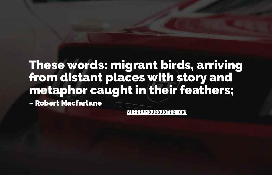 Robert Macfarlane Quotes: These words: migrant birds, arriving from distant places with story and metaphor caught in their feathers;