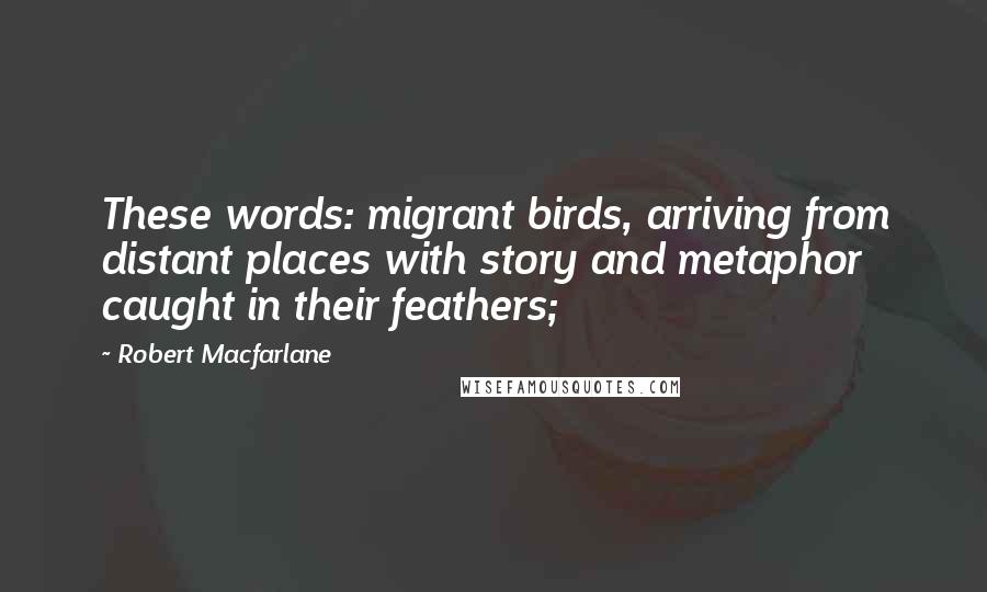 Robert Macfarlane Quotes: These words: migrant birds, arriving from distant places with story and metaphor caught in their feathers;