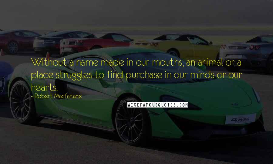 Robert Macfarlane Quotes: Without a name made in our mouths, an animal or a place struggles to find purchase in our minds or our hearts.