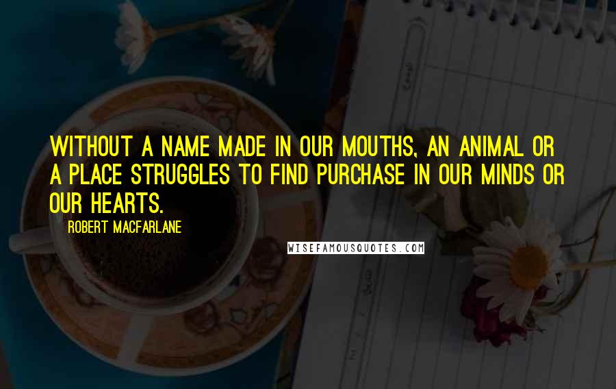 Robert Macfarlane Quotes: Without a name made in our mouths, an animal or a place struggles to find purchase in our minds or our hearts.
