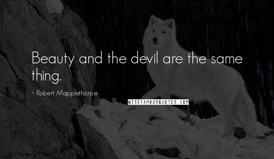 Robert Mapplethorpe Quotes: Beauty and the devil are the same thing.