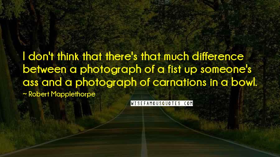 Robert Mapplethorpe Quotes: I don't think that there's that much difference between a photograph of a fist up someone's ass and a photograph of carnations in a bowl.