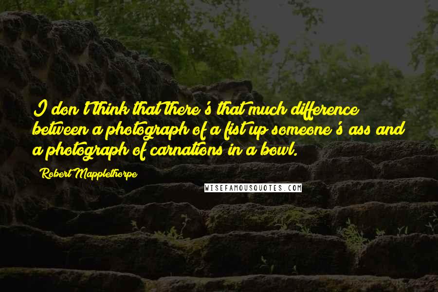 Robert Mapplethorpe Quotes: I don't think that there's that much difference between a photograph of a fist up someone's ass and a photograph of carnations in a bowl.