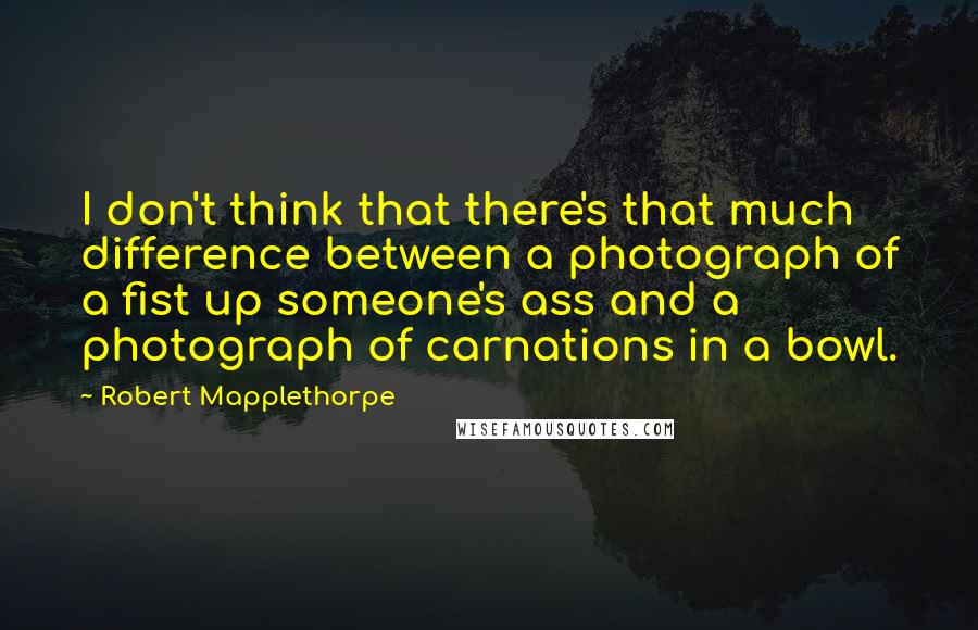 Robert Mapplethorpe Quotes: I don't think that there's that much difference between a photograph of a fist up someone's ass and a photograph of carnations in a bowl.