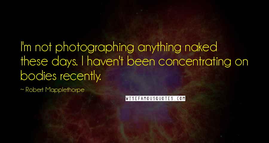 Robert Mapplethorpe Quotes: I'm not photographing anything naked these days. I haven't been concentrating on bodies recently.