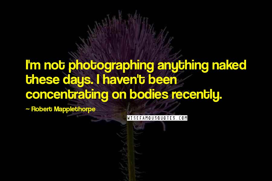 Robert Mapplethorpe Quotes: I'm not photographing anything naked these days. I haven't been concentrating on bodies recently.