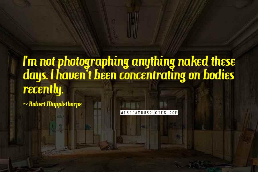 Robert Mapplethorpe Quotes: I'm not photographing anything naked these days. I haven't been concentrating on bodies recently.