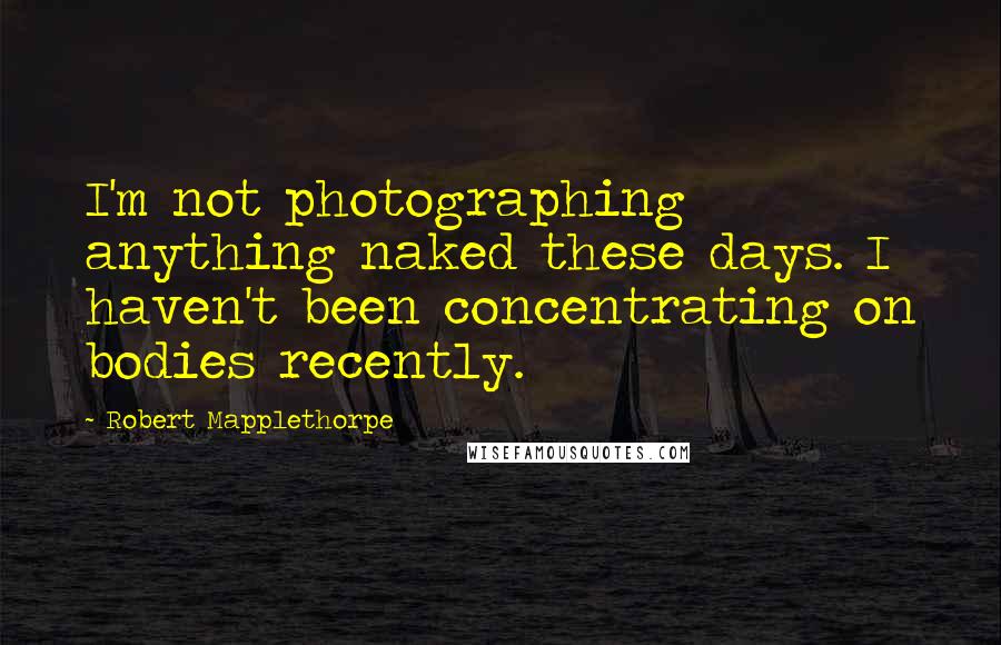 Robert Mapplethorpe Quotes: I'm not photographing anything naked these days. I haven't been concentrating on bodies recently.