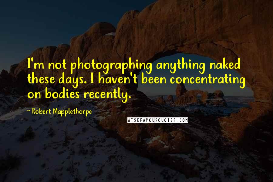 Robert Mapplethorpe Quotes: I'm not photographing anything naked these days. I haven't been concentrating on bodies recently.