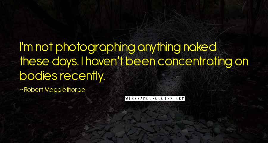 Robert Mapplethorpe Quotes: I'm not photographing anything naked these days. I haven't been concentrating on bodies recently.
