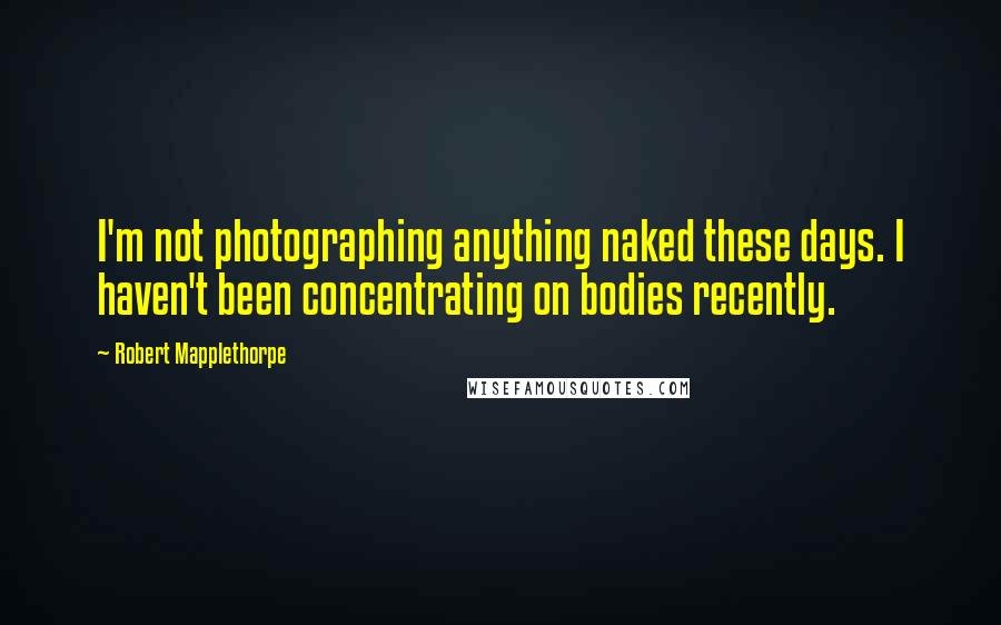 Robert Mapplethorpe Quotes: I'm not photographing anything naked these days. I haven't been concentrating on bodies recently.