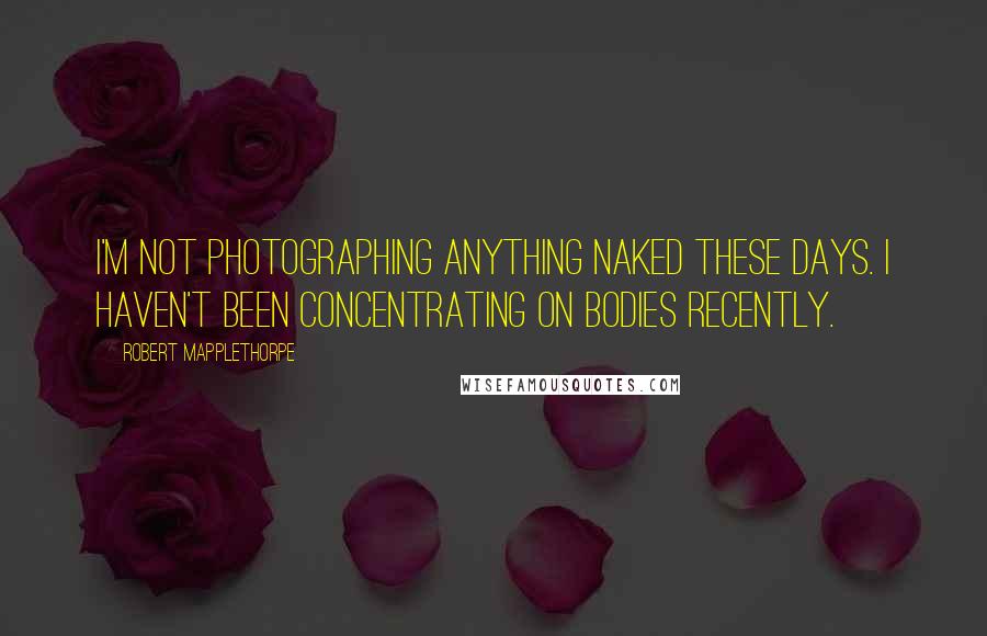 Robert Mapplethorpe Quotes: I'm not photographing anything naked these days. I haven't been concentrating on bodies recently.