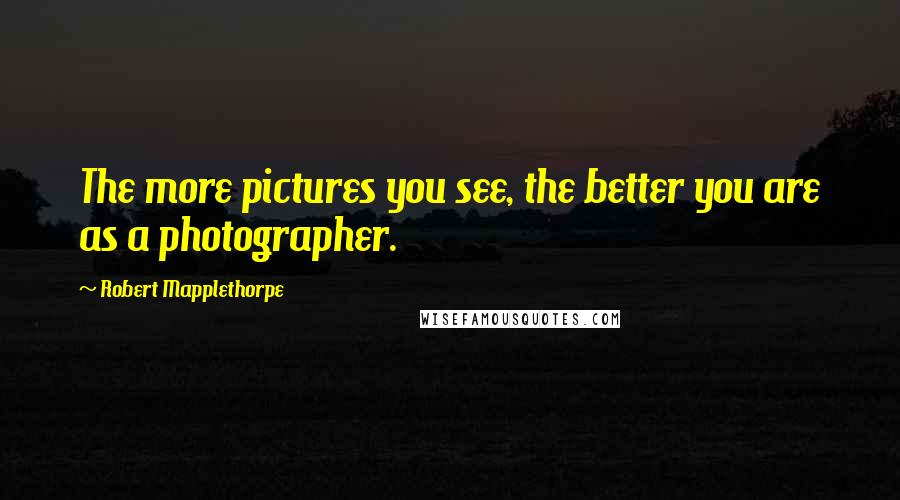 Robert Mapplethorpe Quotes: The more pictures you see, the better you are as a photographer.