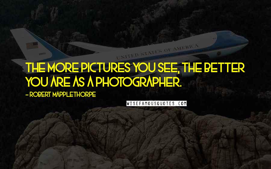 Robert Mapplethorpe Quotes: The more pictures you see, the better you are as a photographer.