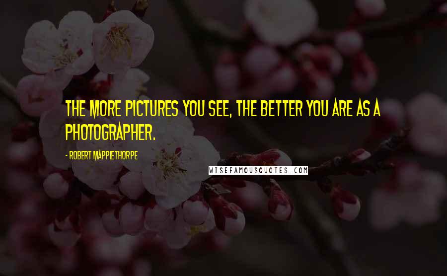 Robert Mapplethorpe Quotes: The more pictures you see, the better you are as a photographer.