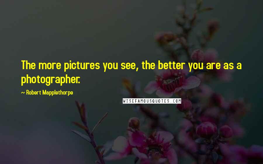 Robert Mapplethorpe Quotes: The more pictures you see, the better you are as a photographer.