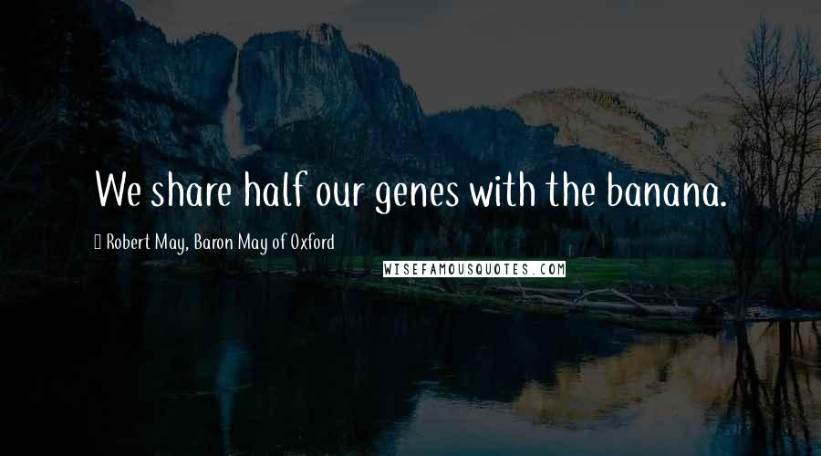 Robert May, Baron May Of Oxford Quotes: We share half our genes with the banana.