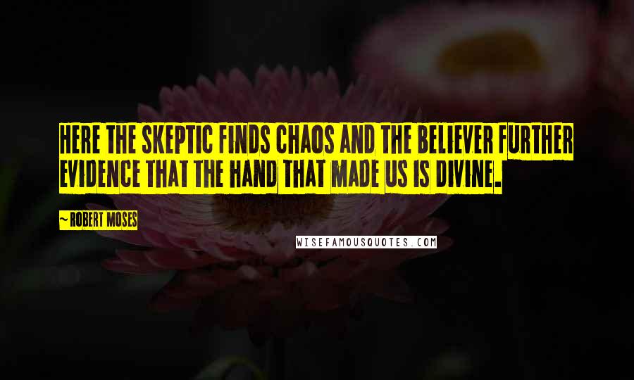 Robert Moses Quotes: Here the skeptic finds chaos and the believer further evidence that the hand that made us is divine.