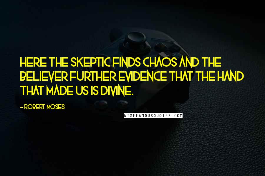 Robert Moses Quotes: Here the skeptic finds chaos and the believer further evidence that the hand that made us is divine.