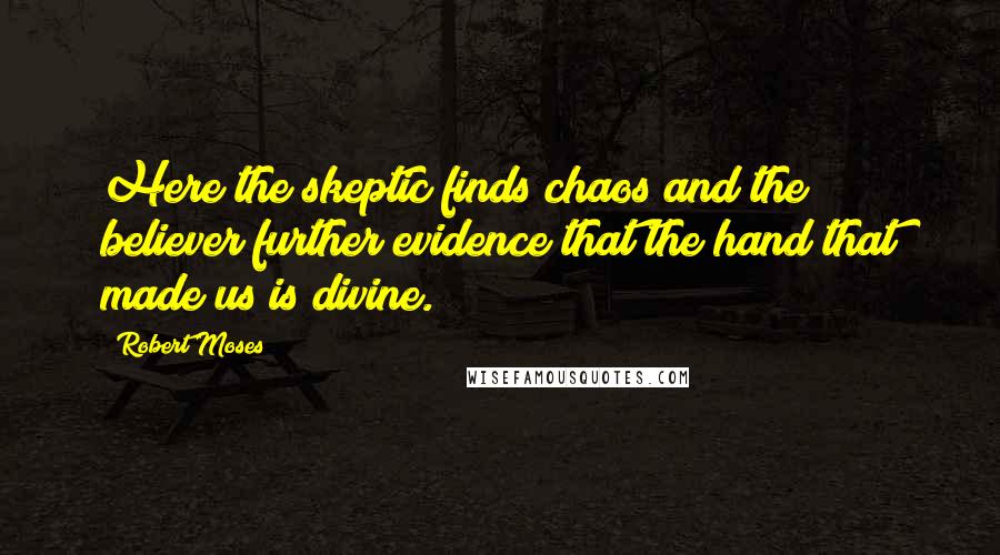 Robert Moses Quotes: Here the skeptic finds chaos and the believer further evidence that the hand that made us is divine.