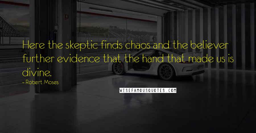 Robert Moses Quotes: Here the skeptic finds chaos and the believer further evidence that the hand that made us is divine.