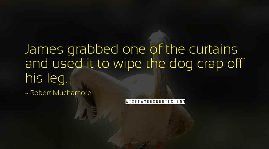 Robert Muchamore Quotes: James grabbed one of the curtains and used it to wipe the dog crap off his leg.
