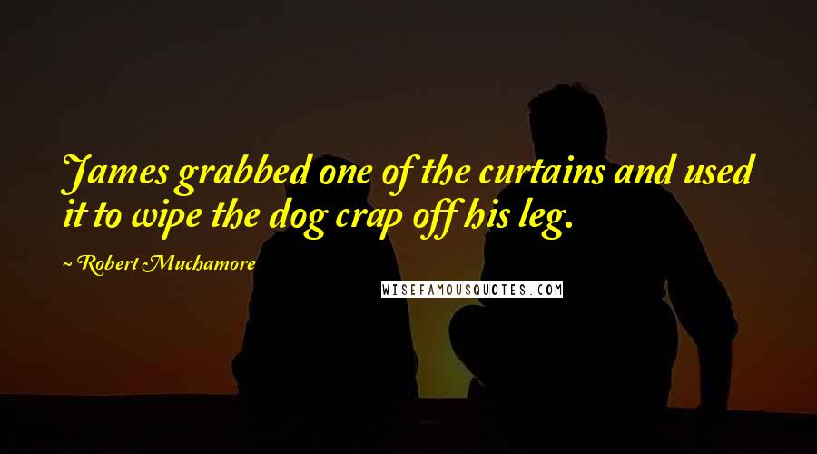 Robert Muchamore Quotes: James grabbed one of the curtains and used it to wipe the dog crap off his leg.