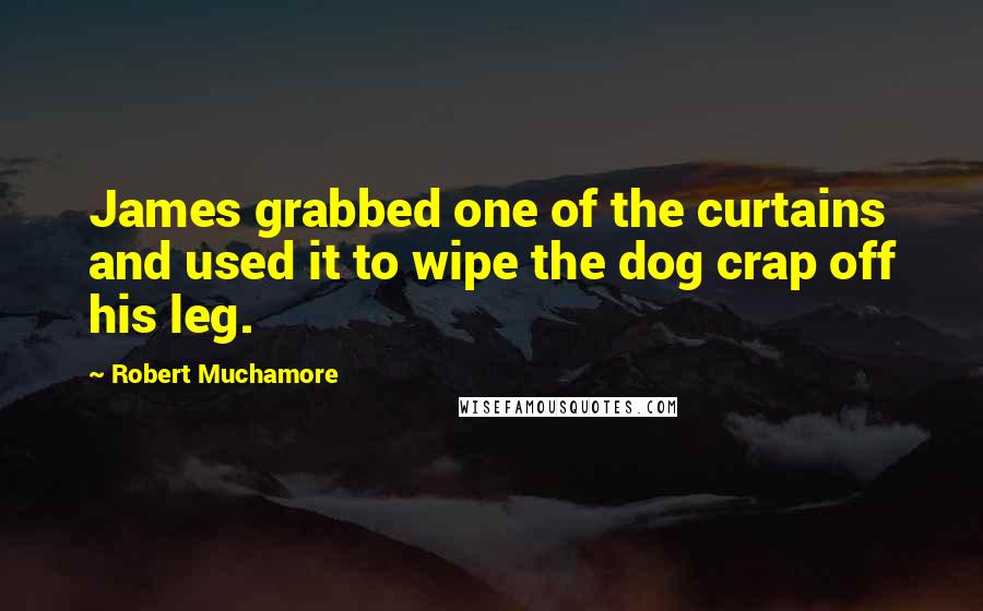 Robert Muchamore Quotes: James grabbed one of the curtains and used it to wipe the dog crap off his leg.