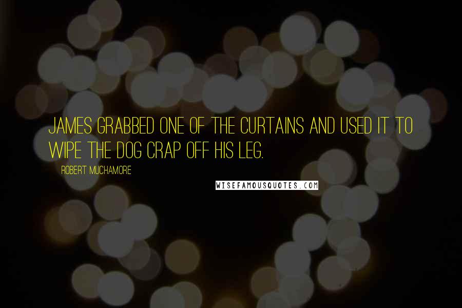 Robert Muchamore Quotes: James grabbed one of the curtains and used it to wipe the dog crap off his leg.