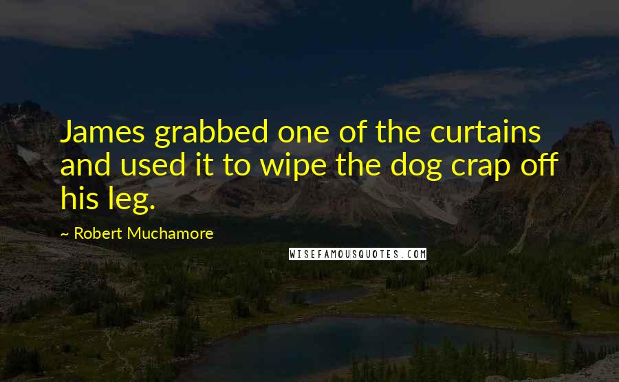 Robert Muchamore Quotes: James grabbed one of the curtains and used it to wipe the dog crap off his leg.