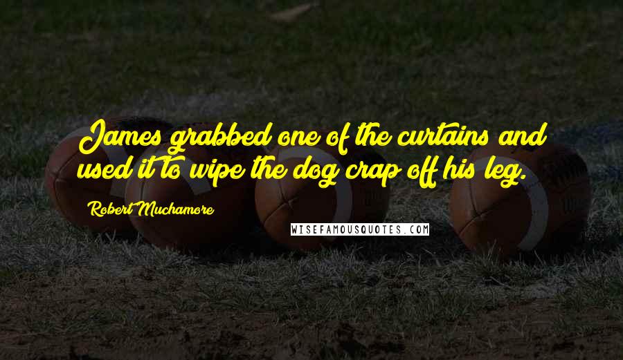 Robert Muchamore Quotes: James grabbed one of the curtains and used it to wipe the dog crap off his leg.