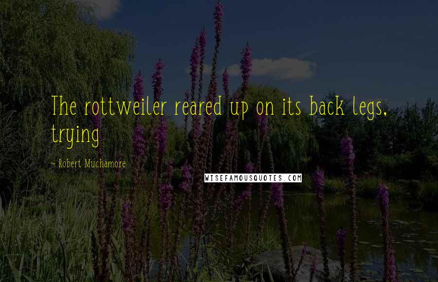 Robert Muchamore Quotes: The rottweiler reared up on its back legs, trying