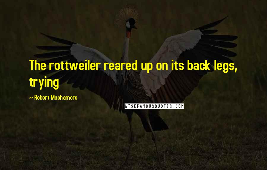 Robert Muchamore Quotes: The rottweiler reared up on its back legs, trying