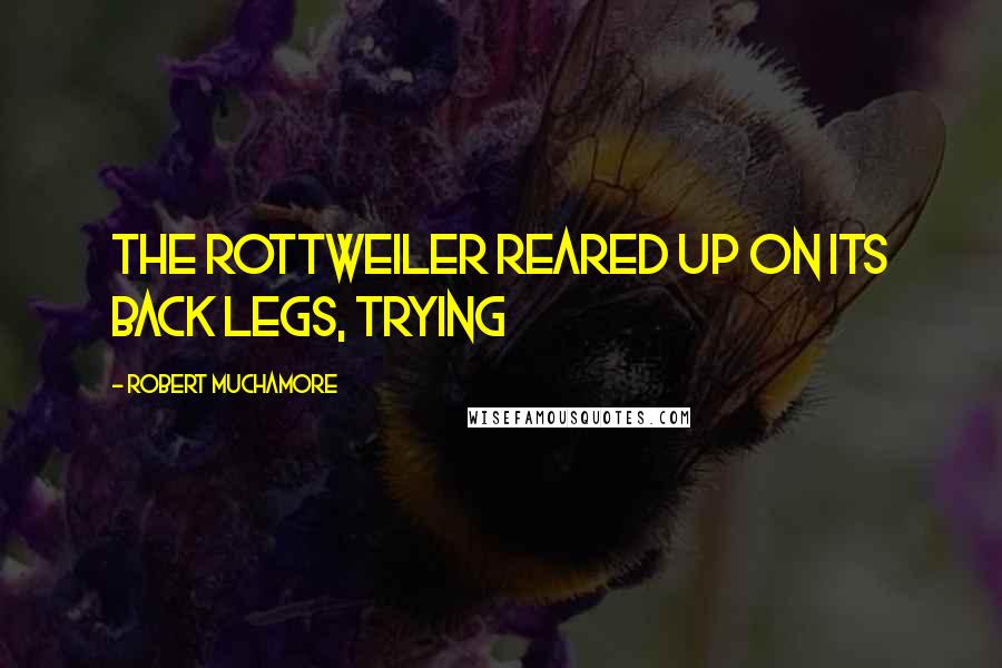 Robert Muchamore Quotes: The rottweiler reared up on its back legs, trying