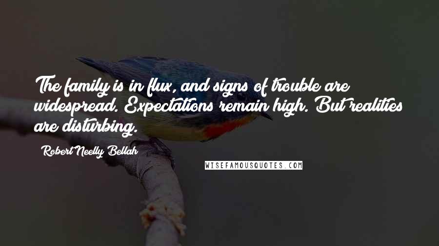 Robert Neelly Bellah Quotes: The family is in flux, and signs of trouble are widespread. Expectations remain high. But realities are disturbing.