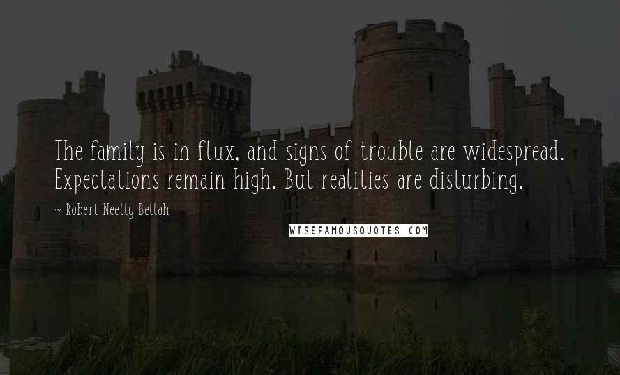 Robert Neelly Bellah Quotes: The family is in flux, and signs of trouble are widespread. Expectations remain high. But realities are disturbing.