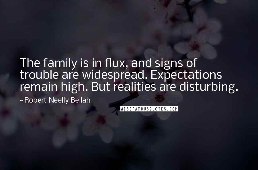 Robert Neelly Bellah Quotes: The family is in flux, and signs of trouble are widespread. Expectations remain high. But realities are disturbing.